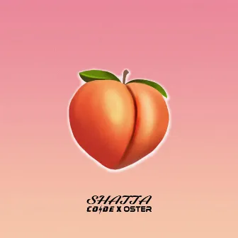 Shatta by Oster