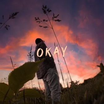 Okay by Luke Woods