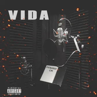 Vida by Unknown Artist