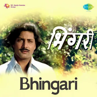 Bhingari (Original Motion Picture Soundtrack) by Unknown Artist