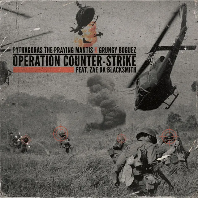 Operation COUNTER-STRIKE