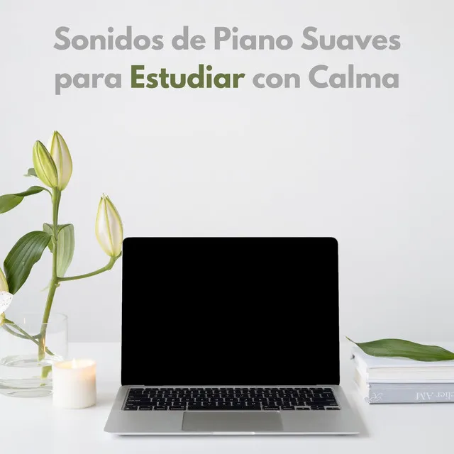 Sonidos De Piano Suaves Para Estudiar Con Calma