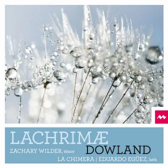 Dowland: Lachrimæ by Zachary Wilder