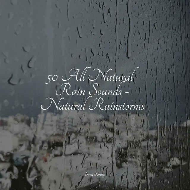 50 All Natural Rain Sounds - Natural Rainstorms