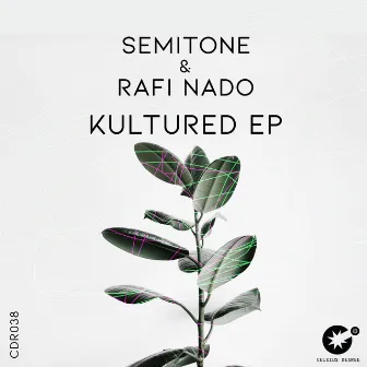 Kultured EP by Rafi Nado