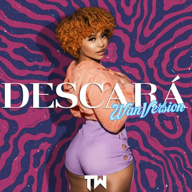 DESCARÁ ( TW Version) [Cover]