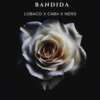 Bandida by Lobaco