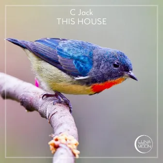 This House by C Jack