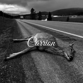 CARRION by Philo