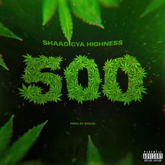 500 by Shaad Cya Highness