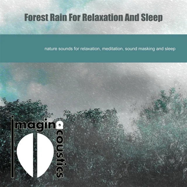 Forest Rain for Relaxation and Sleep