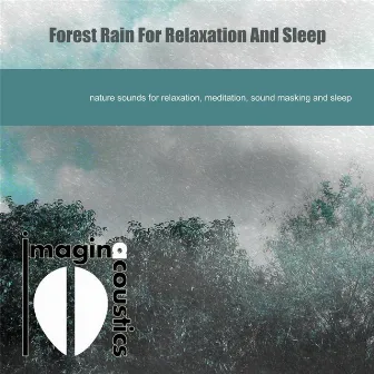 Forest Rain for Relaxation and Sleep by Imaginacoustics