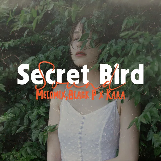 Secret Bird Sound