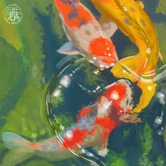 koi pond by sunday museum