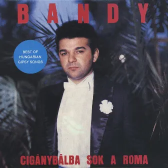 Ciganybalba Sok A Roma by Bandy