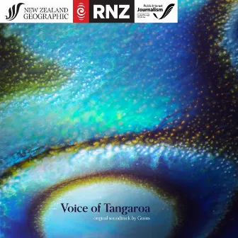 Voice of Tangaroa (Original Podcast Soundtrack) by Grains