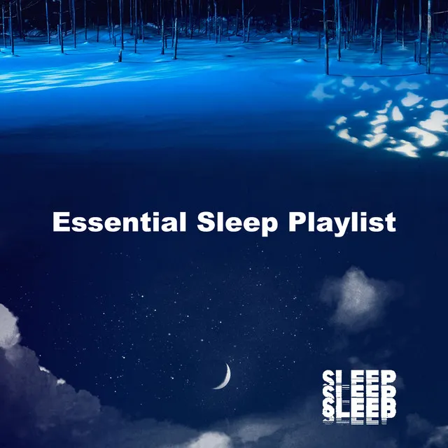 Essential Sleep Playlist