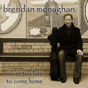 Never Too Late to Come Home by Brendan Monaghan