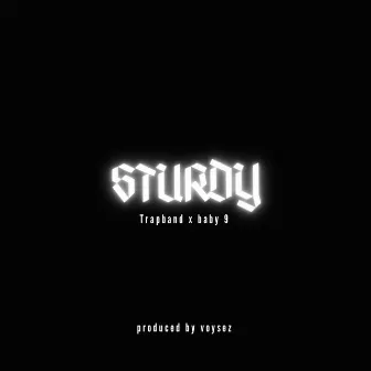 Sturdy by Baby 9