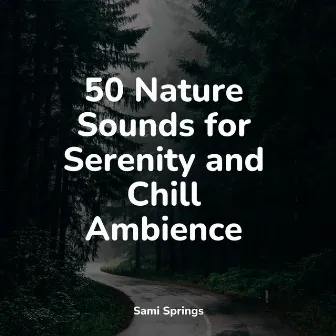 50 Nature Sounds for Serenity and Chill Ambience by Musica Relajante Specialistas & Musica Relajante