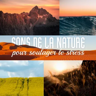 Sons de la nature pour soulager le stress: Ambiance paisible pour spa, Yoga et détente, Musique zen relaxante by Oasis de Musique Nature Relaxante