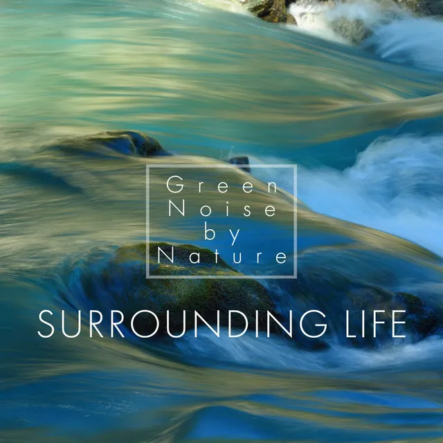 Surrounding Life