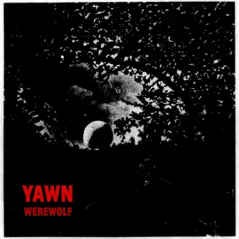 Werewolf by Yawn