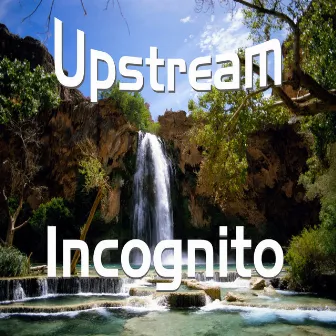 Upstream (A1) by Incognito