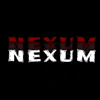 Nexum by Vigal