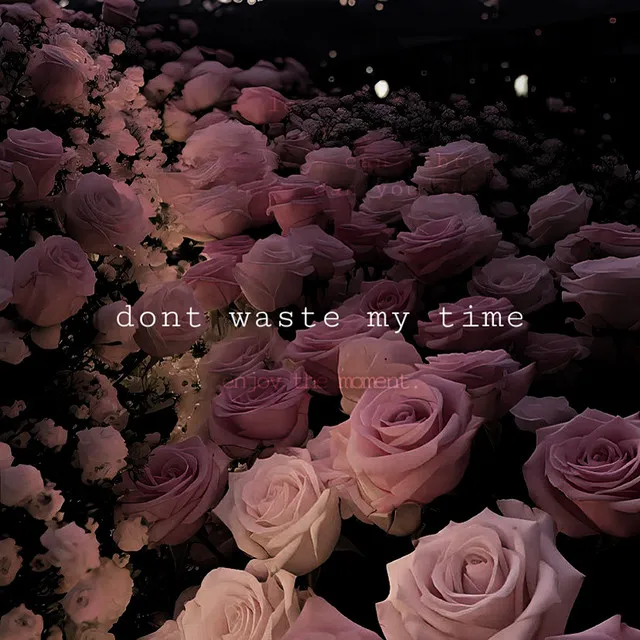 dont waste my time