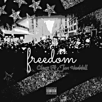 Freedom (feat. Jan Waddell) by Unknown Artist