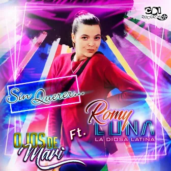 Sin querer by Romy Luna