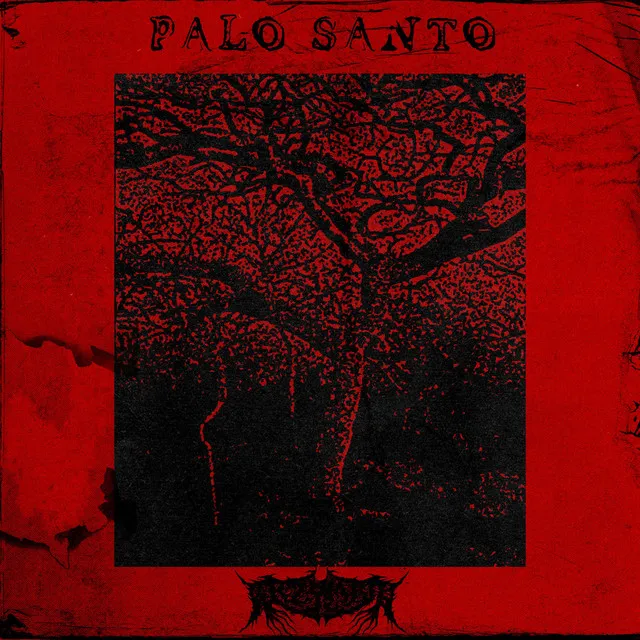 Palo Santo