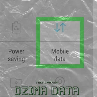 Dzima Data by Timz Carter