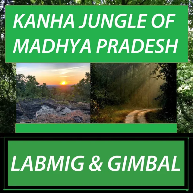 Kanha Jungle of Madhya Pradesh