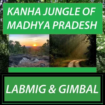 Kanha Jungle of Madhya Pradesh by Labmig