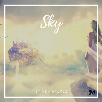 Sky by Unknown Artist