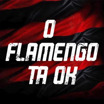 O Flamengo Tá Ok by Mc Navi