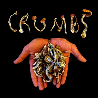 Crumbs by Bru Lei