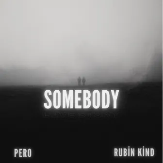 Somebody by Rubin Kind