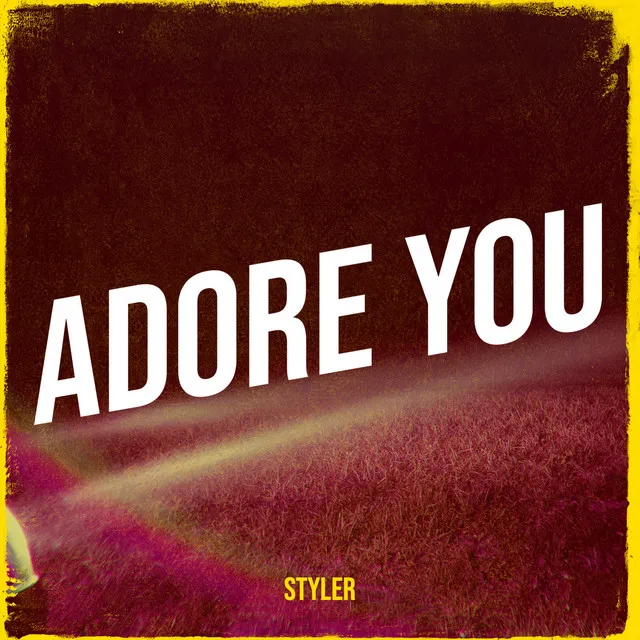 Adore You