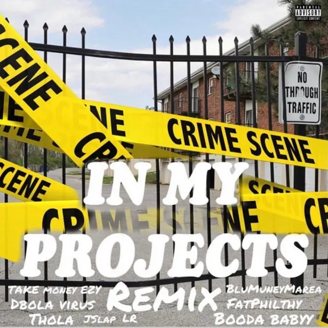 In My Projects - Remix