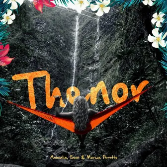 Thenor by Animalia