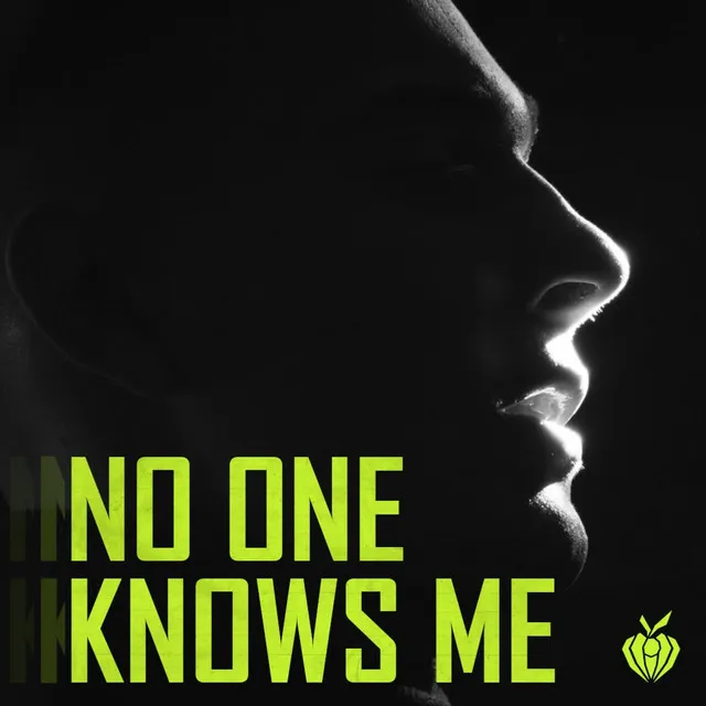 No one knows me (Panfresko)