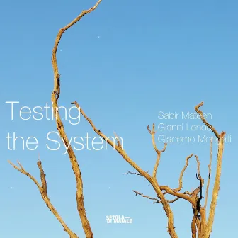 Testing the System by Gianni Lenoci