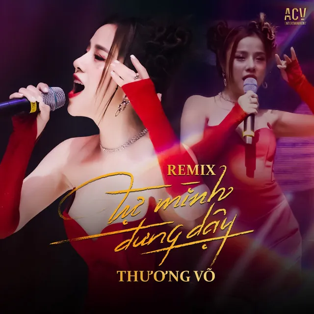 Tựng Mình Đứng Dậy - Vietlouis X Brobear Remix