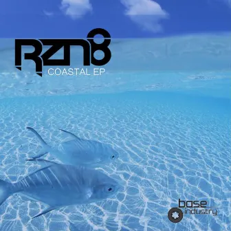 The Coastal EP by RZN8