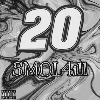 20 by Smol4ill