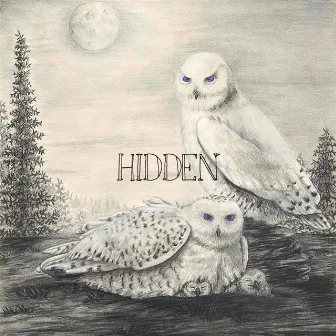 Hidden by RONEN