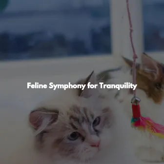 Feline Symphony for Tranquility by Light Office Background Music